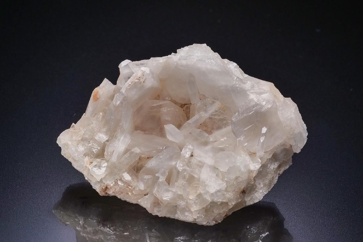 CC42636 specimen image