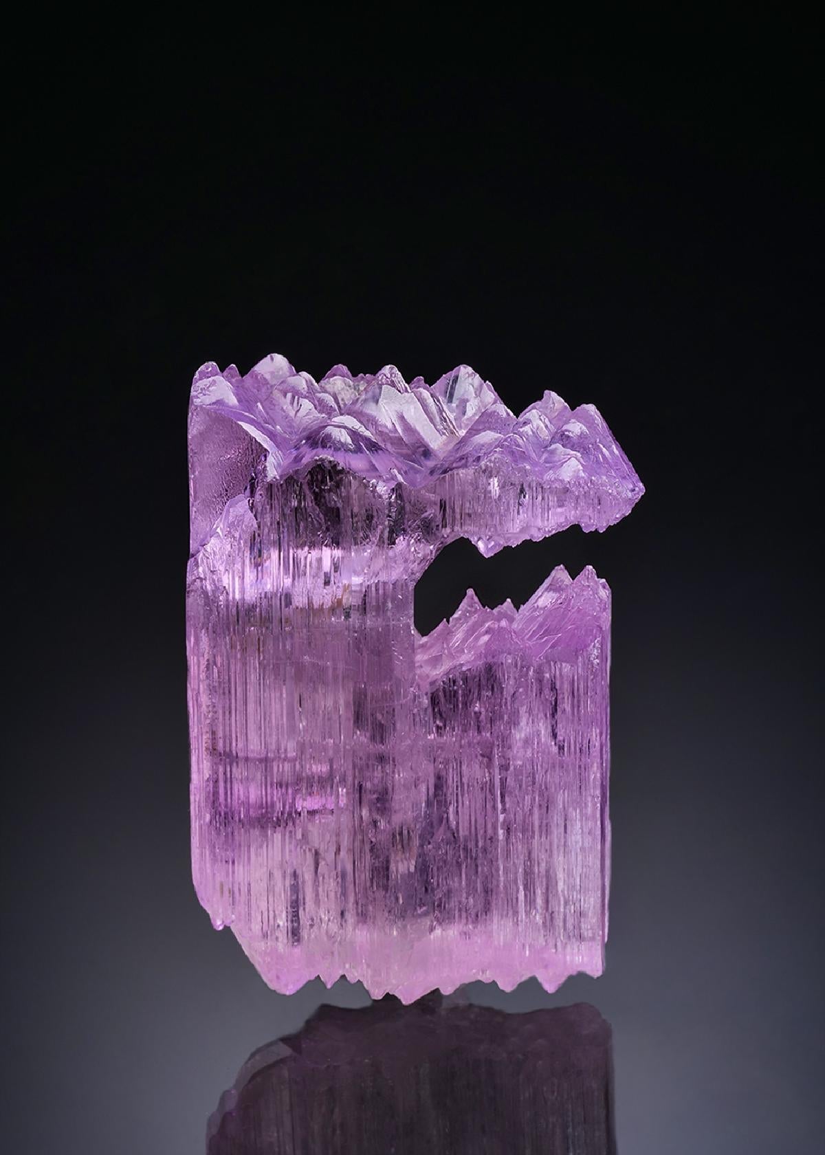 CC42798 specimen image