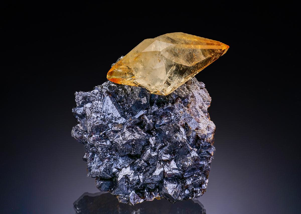 CC42800 specimen image