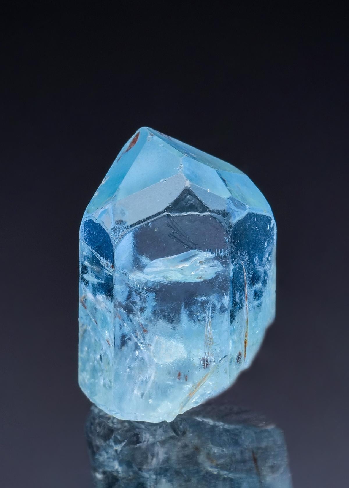 CC42824 specimen image