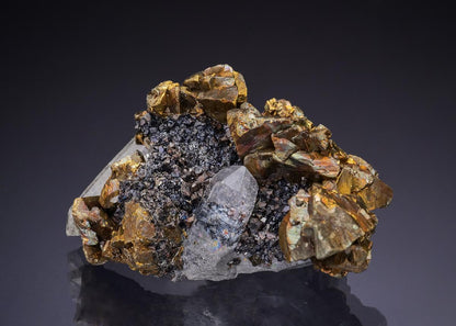 CC42858 specimen image