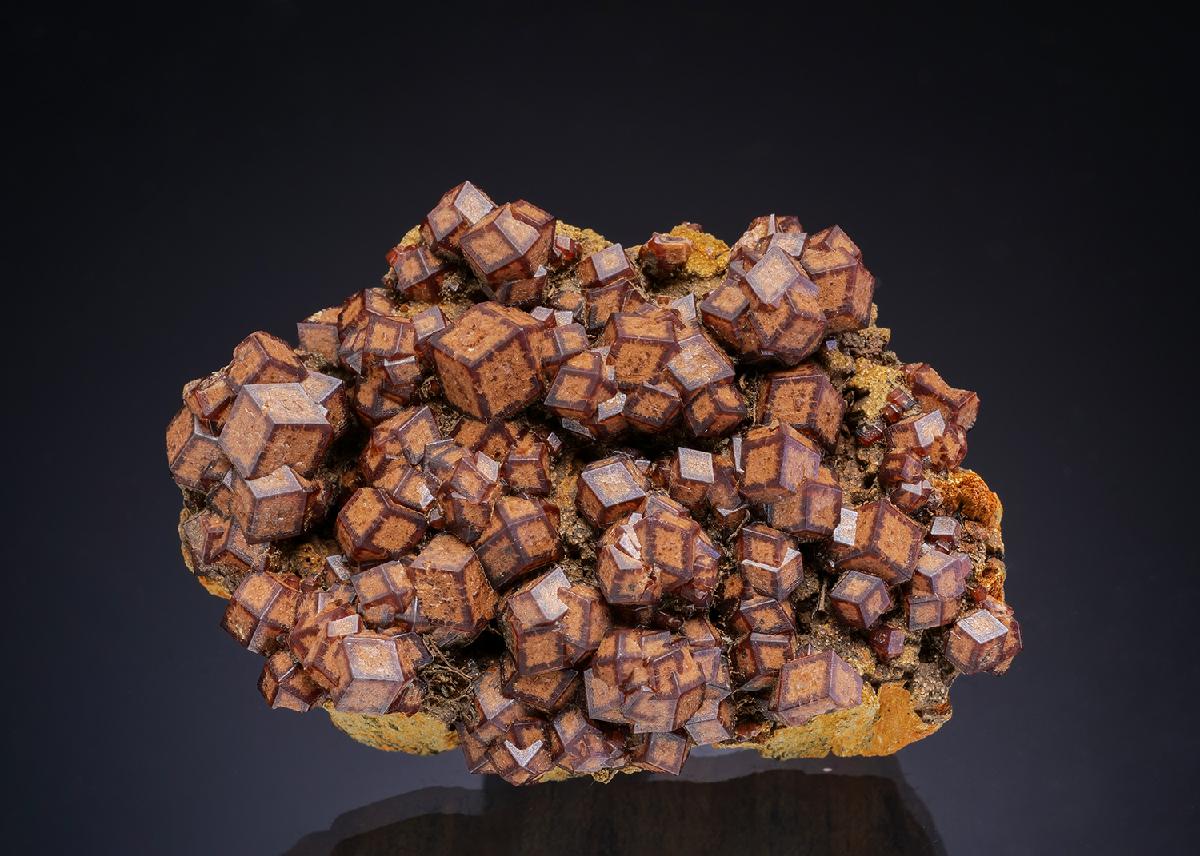 CC42868 specimen image