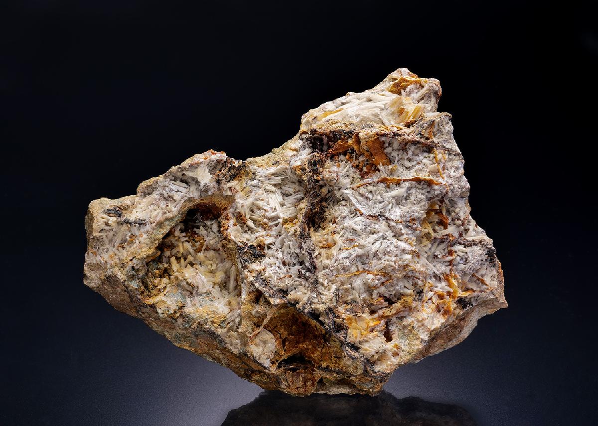 CC4288 specimen image