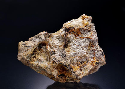 CC4288 specimen image