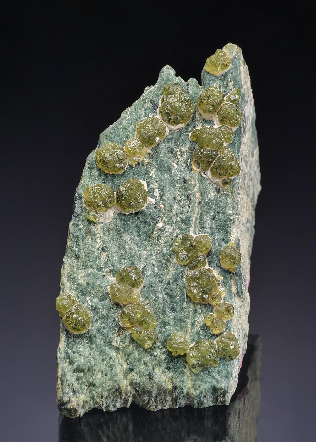 CC42886 specimen image