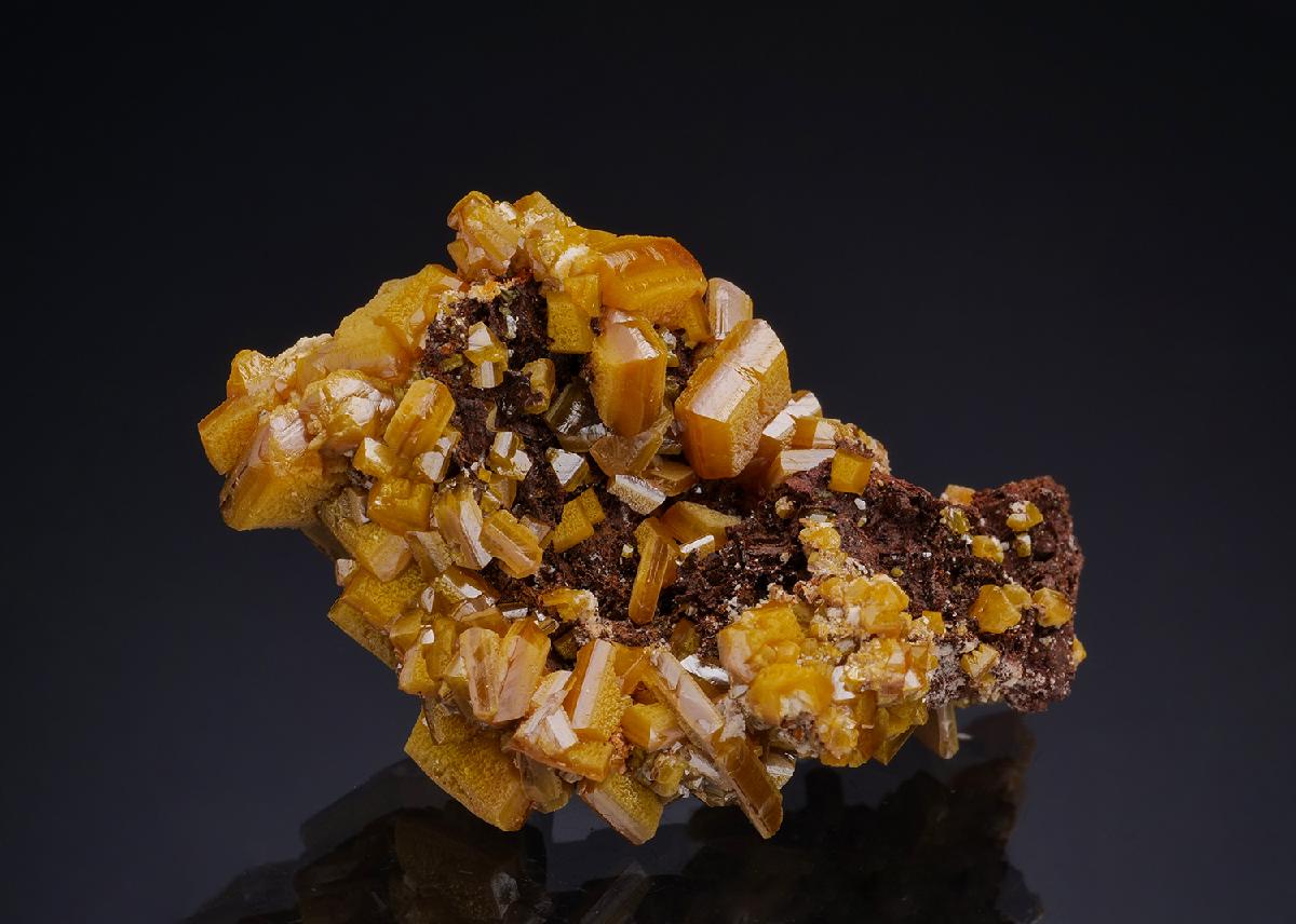 CC42896 specimen image