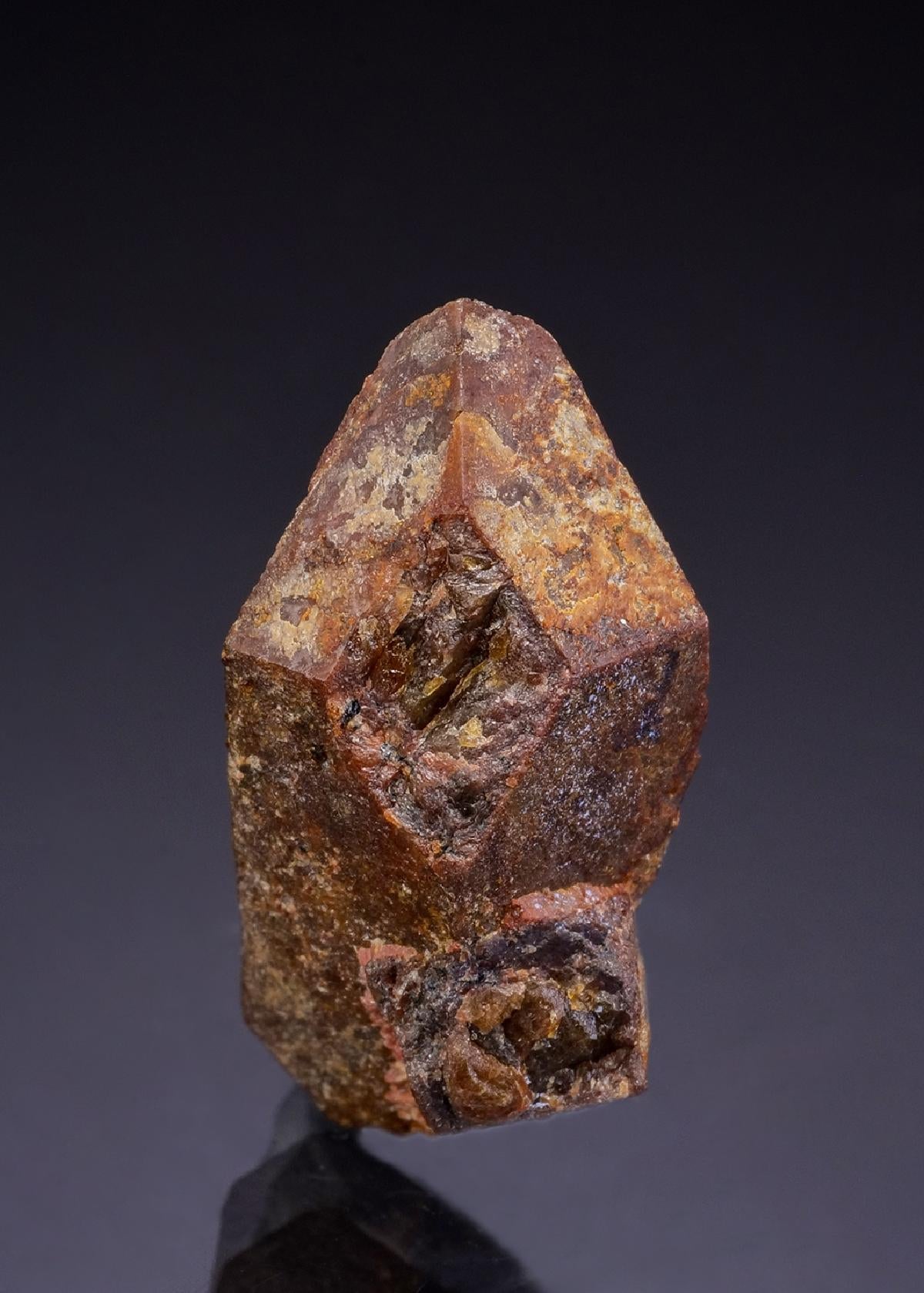 CC42900 specimen image
