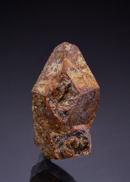 CC42900 specimen image