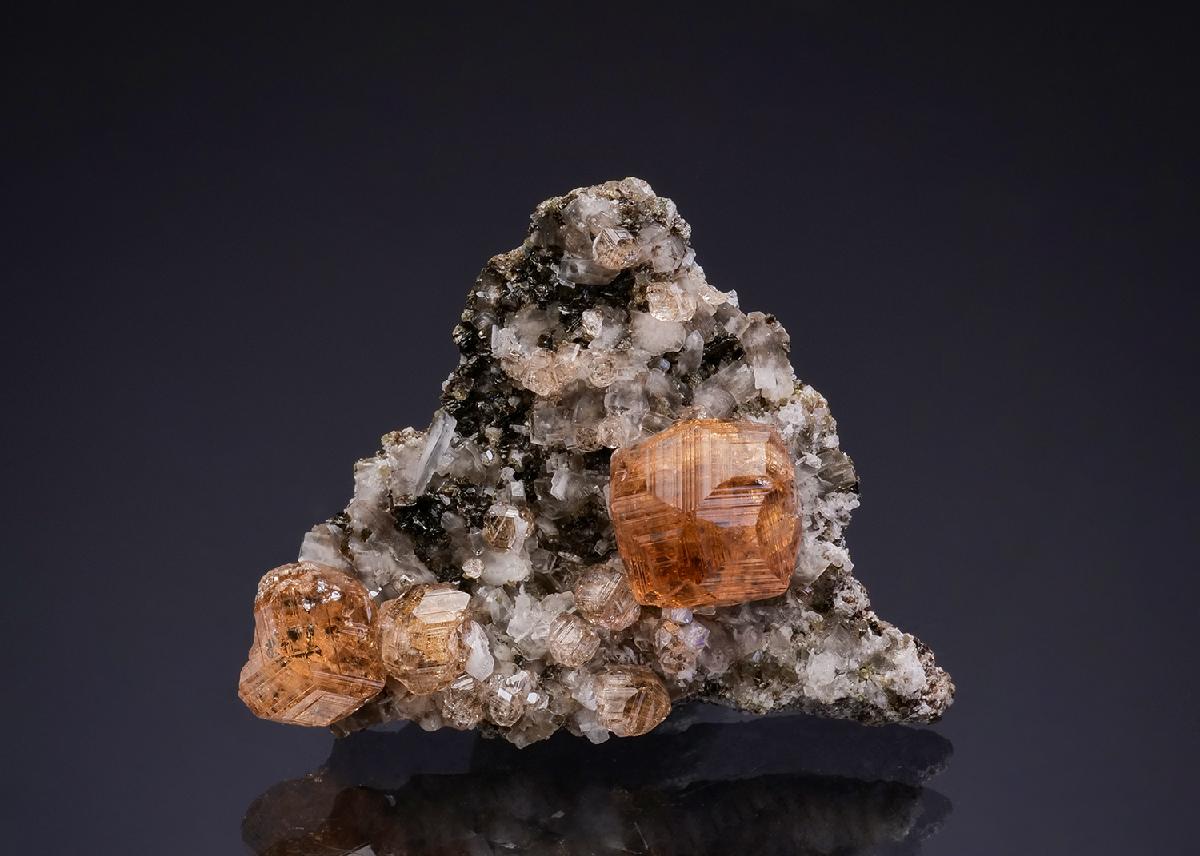 CC42902 specimen image