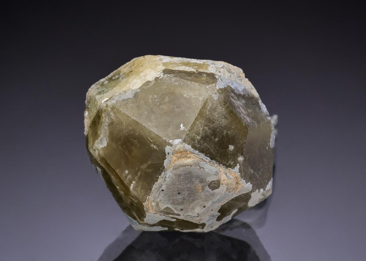 CC42912 specimen image