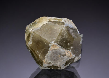 CC42912 specimen image