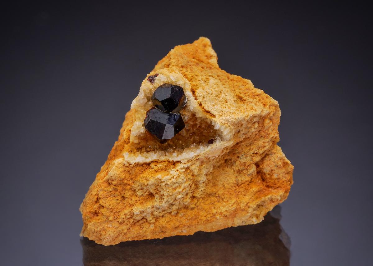 CC42916 specimen image