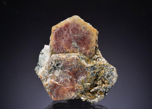 CC42920 specimen image