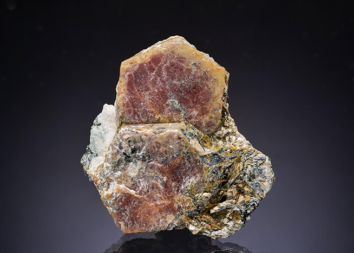 CC42920 specimen image