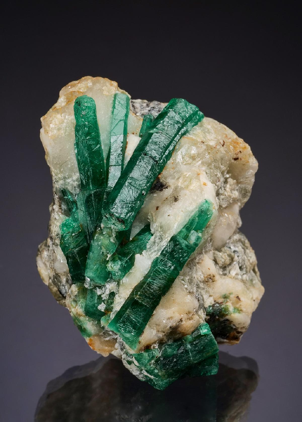 CC42942 specimen image