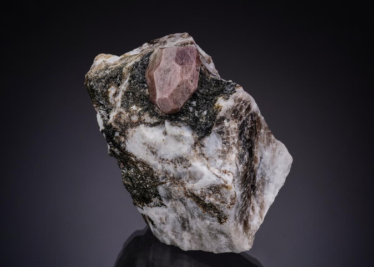 CC42950 specimen image