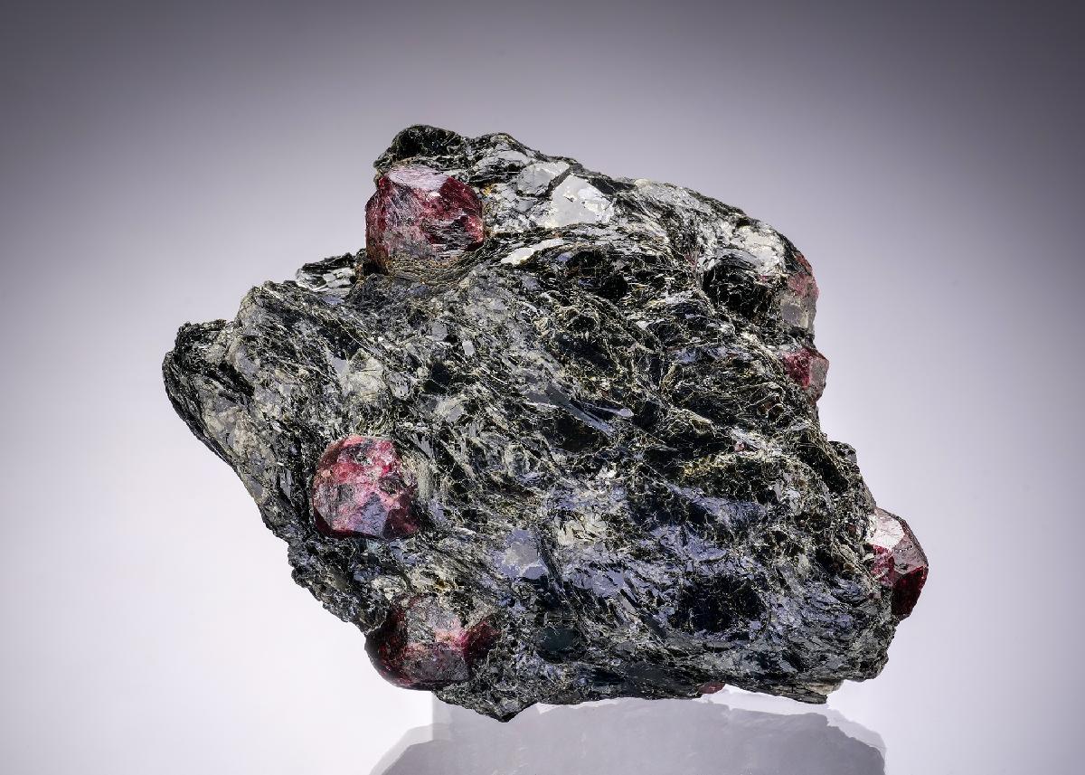 CC42964 specimen image