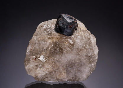 CC42970 specimen image