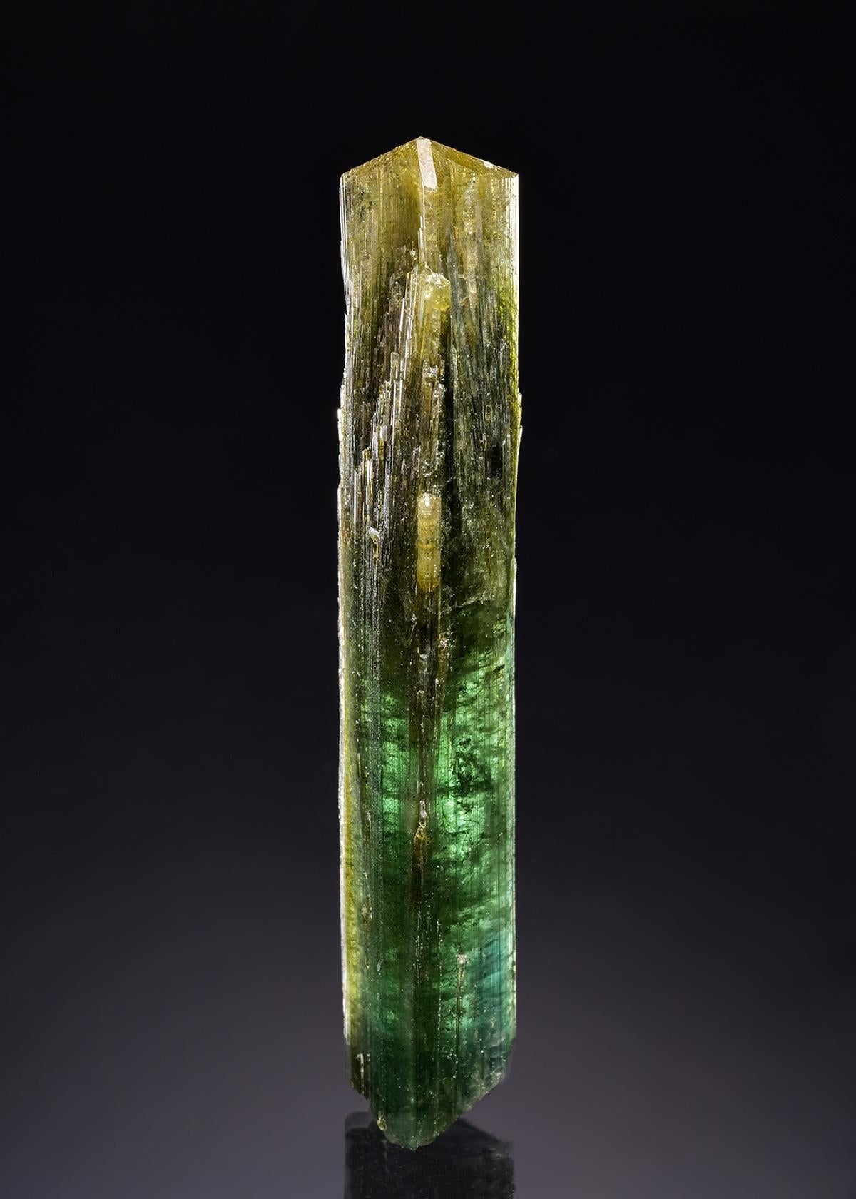 CC42974 specimen image