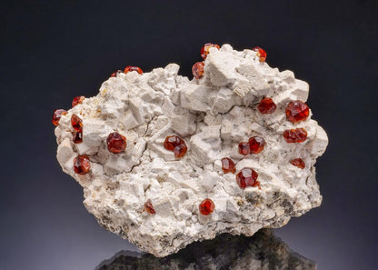 CC42980 specimen image