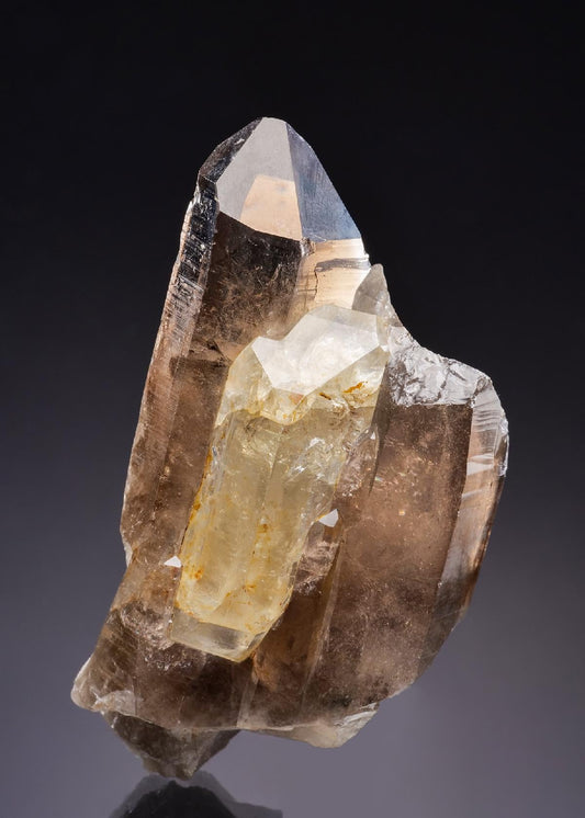 CC43006 specimen image