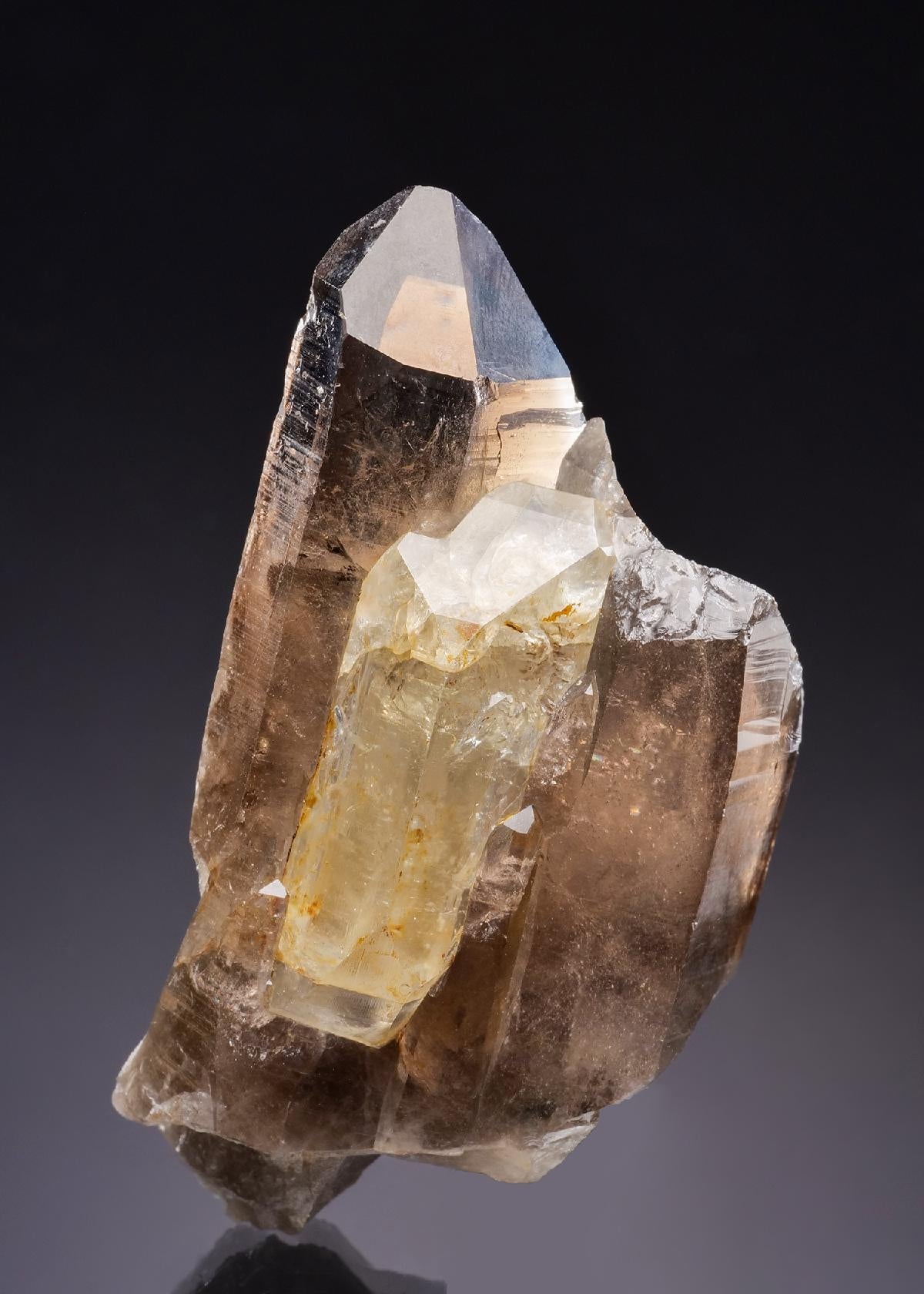 CC43006 specimen image