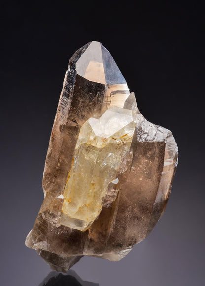 CC43006 specimen image