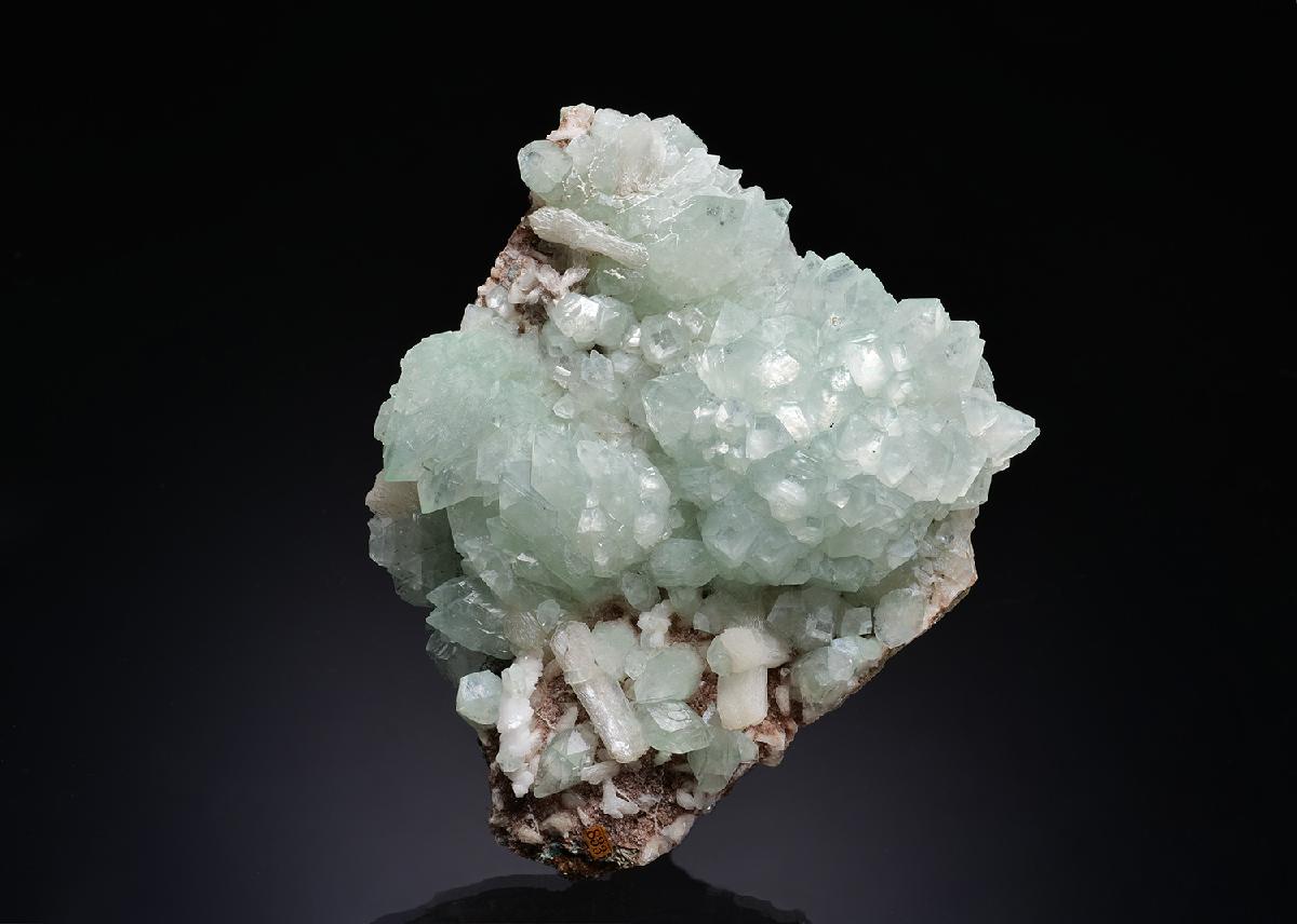 CC43022 specimen image
