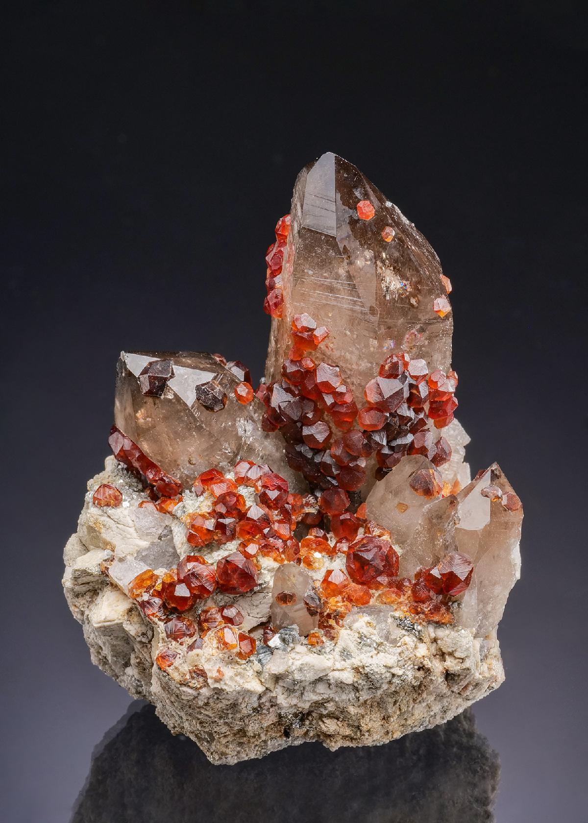 CC43024 specimen image