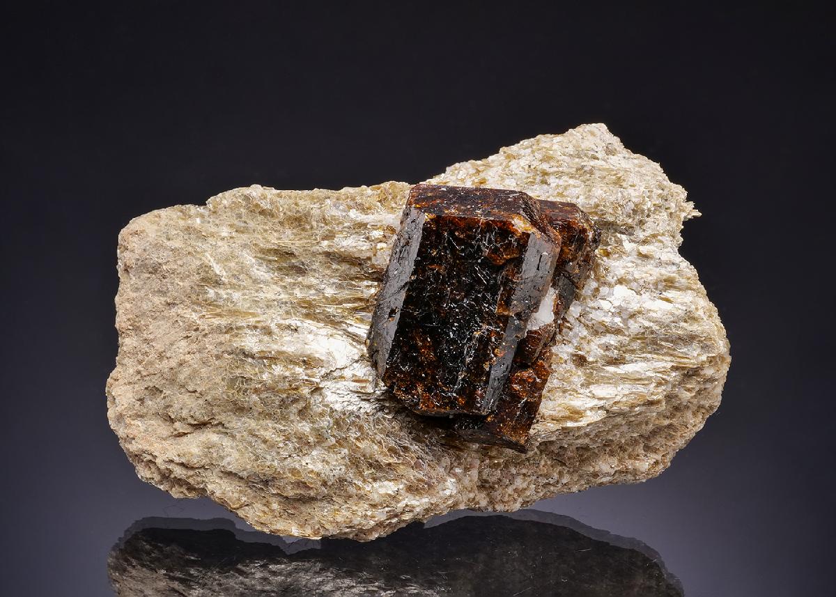 CC43028 specimen image