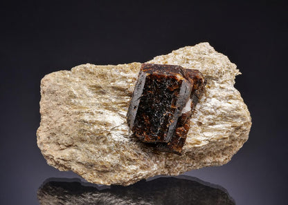 CC43028 specimen image