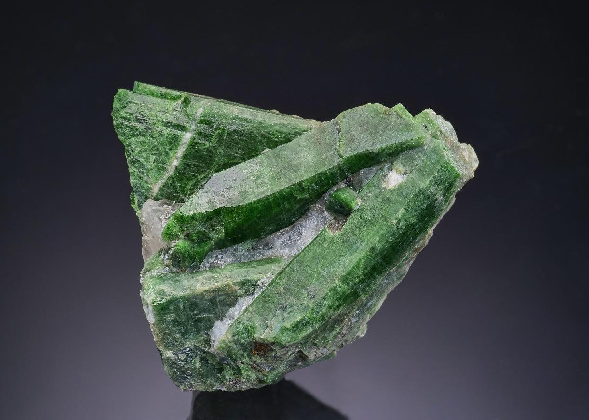 CC43040 specimen image