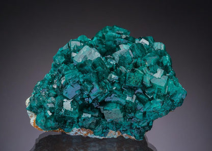 CC43044 specimen image