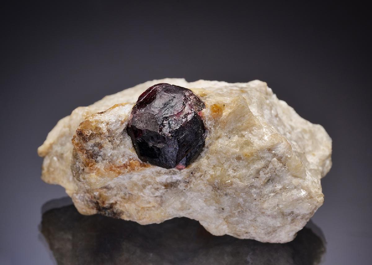CC43058 specimen image