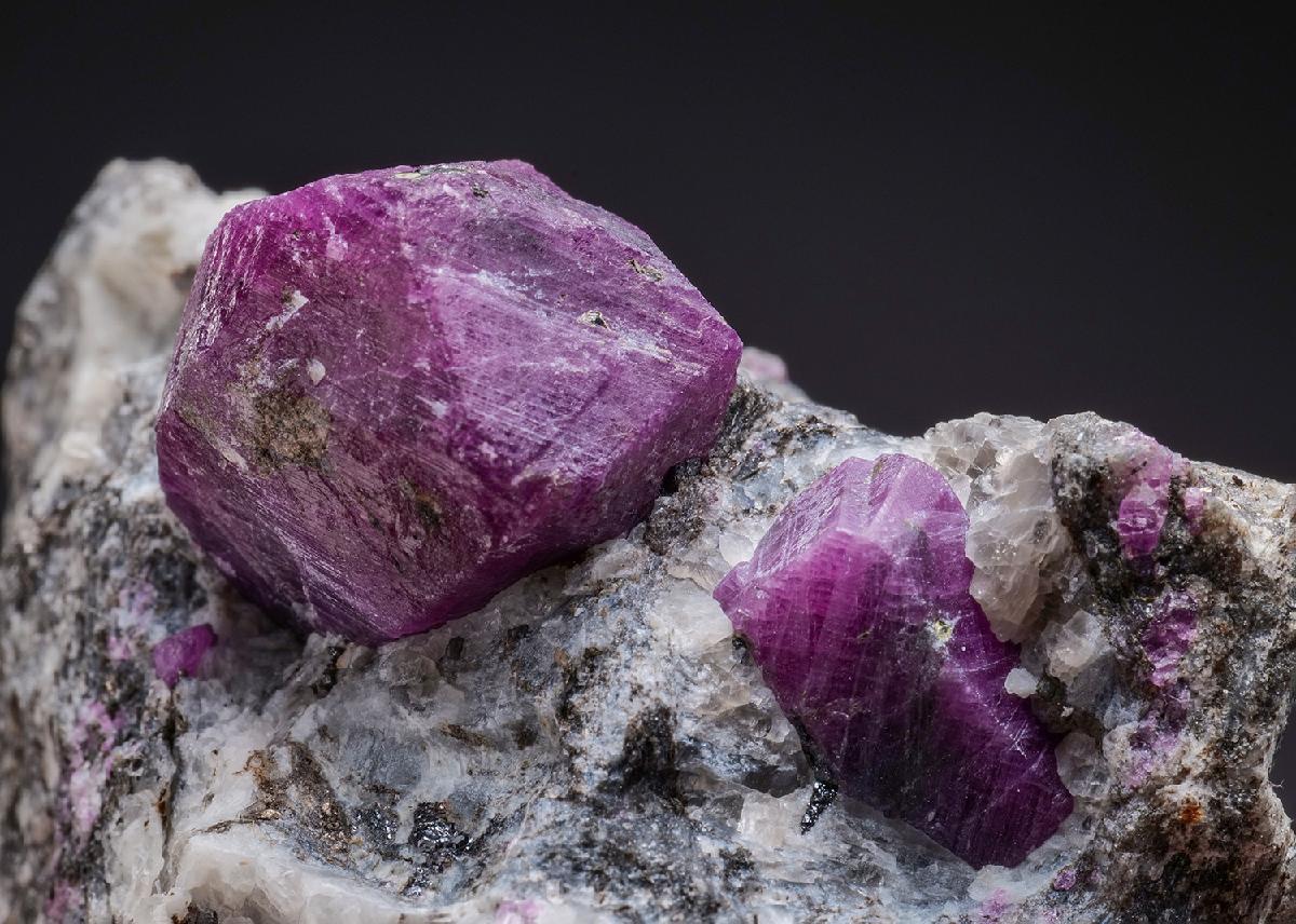 CC43070 specimen image