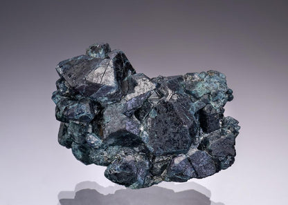 CC43074 specimen image