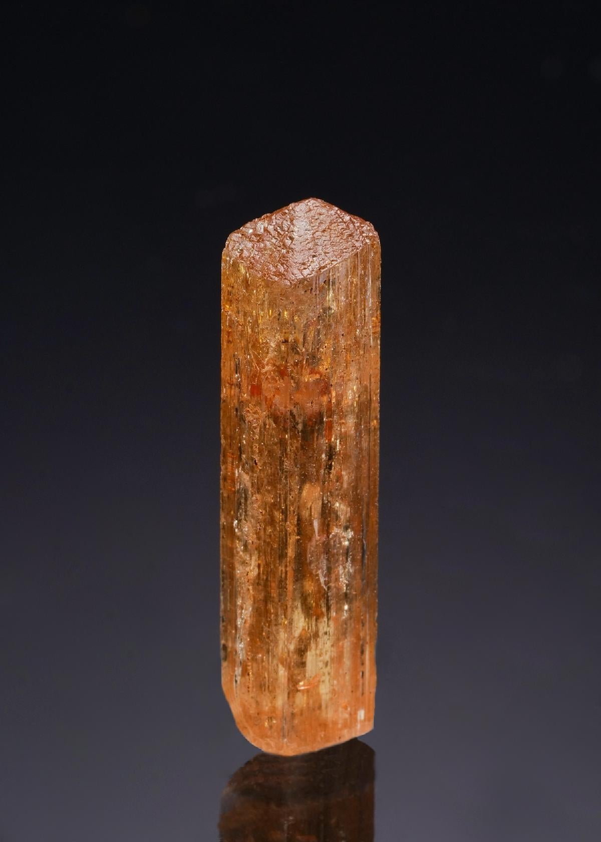 CC43082 specimen image