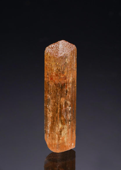 CC43082 specimen image
