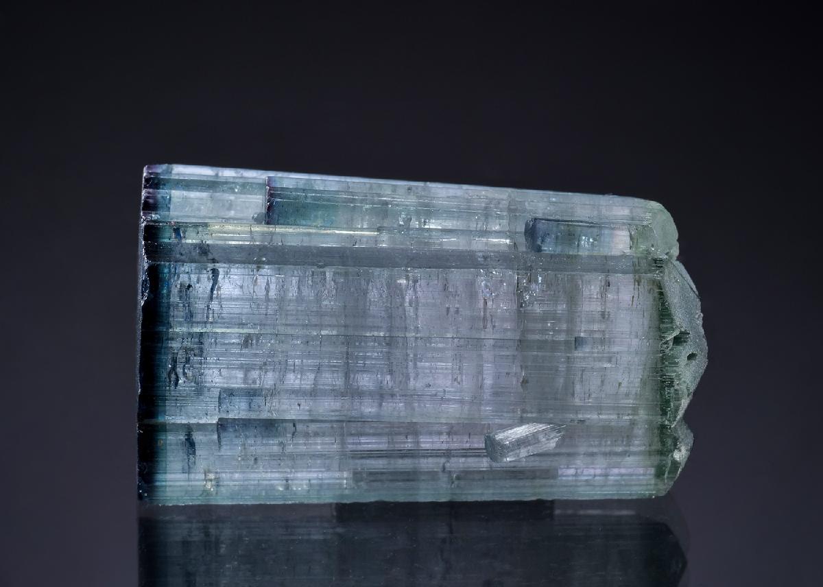 CC43086 specimen image