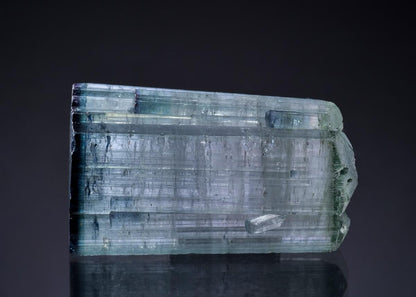 CC43086 specimen image