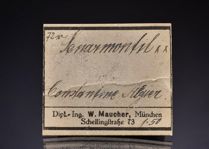CC43100 specimen image