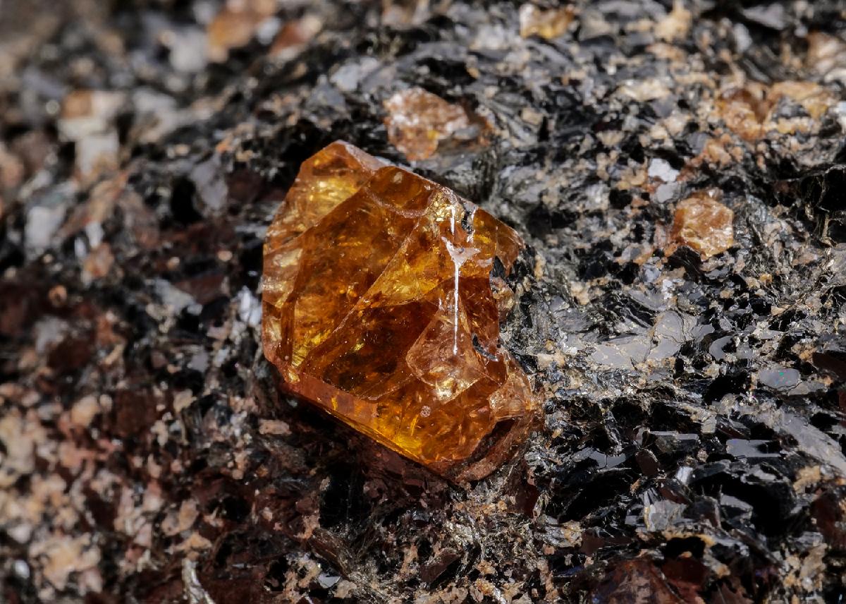 CC43106 specimen image