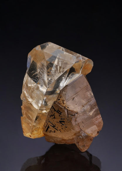 CC43108 specimen image