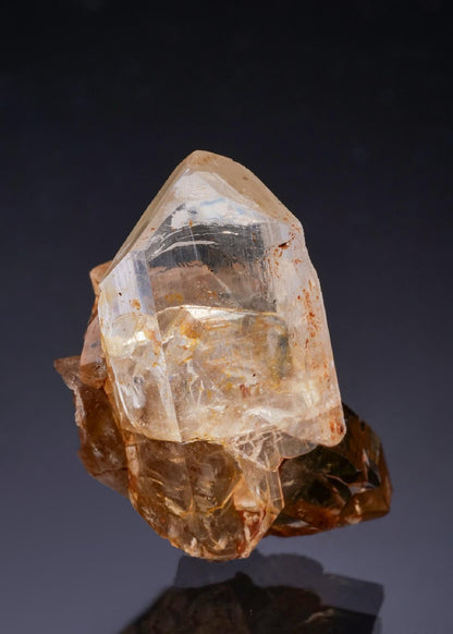 CC43110 specimen image