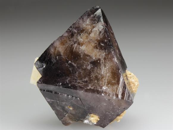 CC4315 specimen image