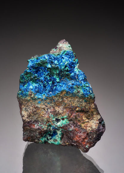 CC43182 specimen image