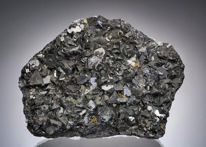 CC43188 specimen image
