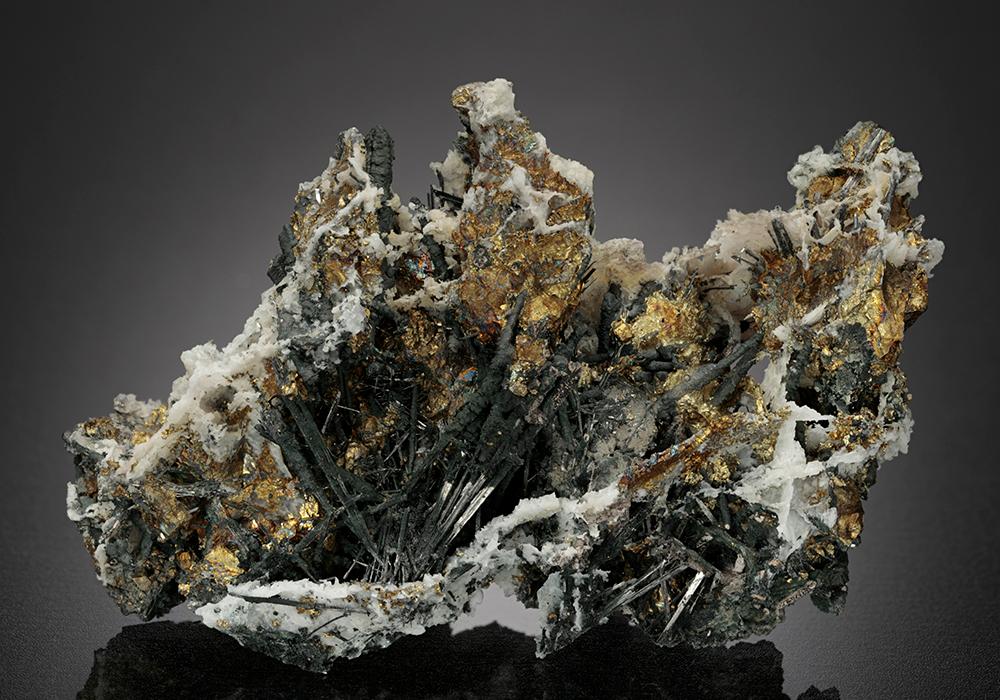 CC43192 specimen image