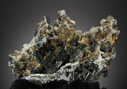 CC43192 specimen image