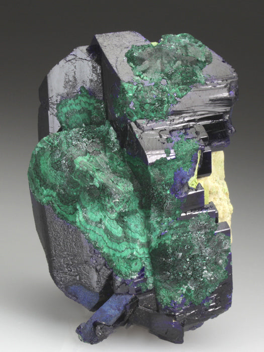 CC4320 specimen image